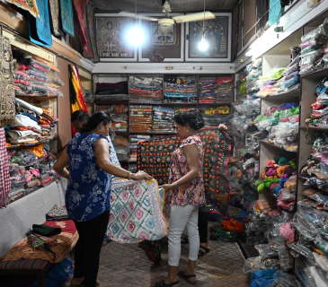 siteseen tour by palace on wheels train