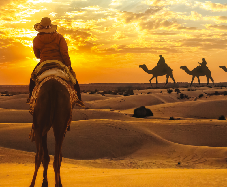 New Delhi Luxury Train Tour