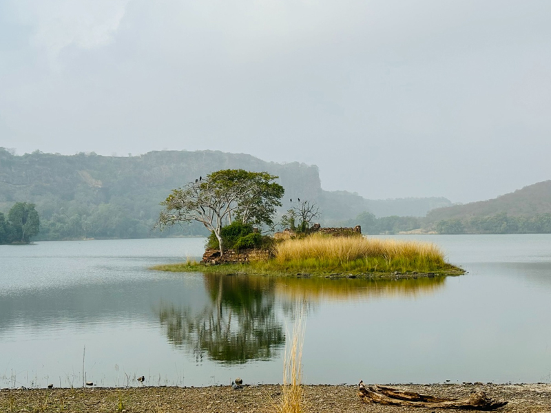 RANTHAMBORE - SAWAI MADHOPUR