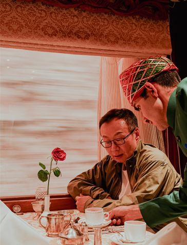palace on wheels train interior