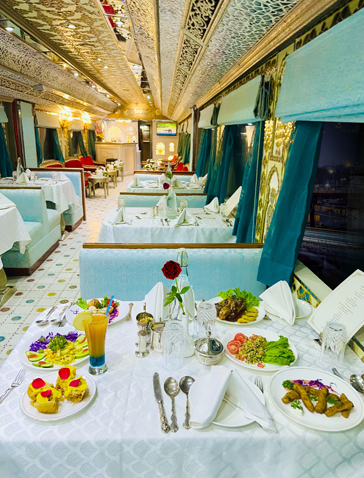 palace on wheels interiors